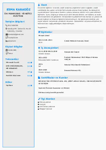 Yönetici Asistanı Cv Örnekleri cv indir